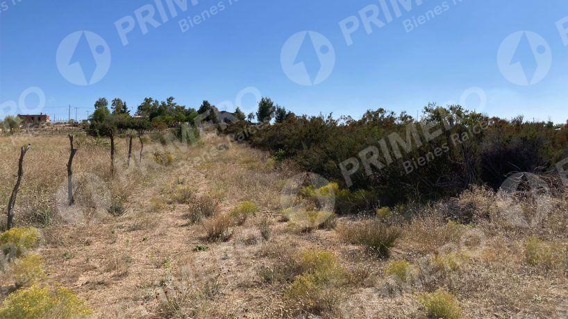 Rancho en Venta en El Hongo PMR-2438