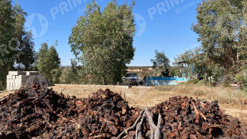 Rancho en Venta en El Hongo PMR-2438