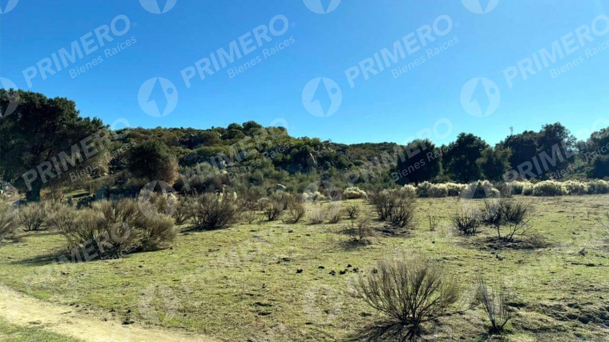 Terreno en Venta en Tecate PMR-2524