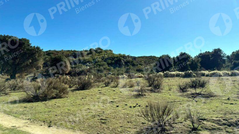Terreno en Venta en Tecate PMR-2524