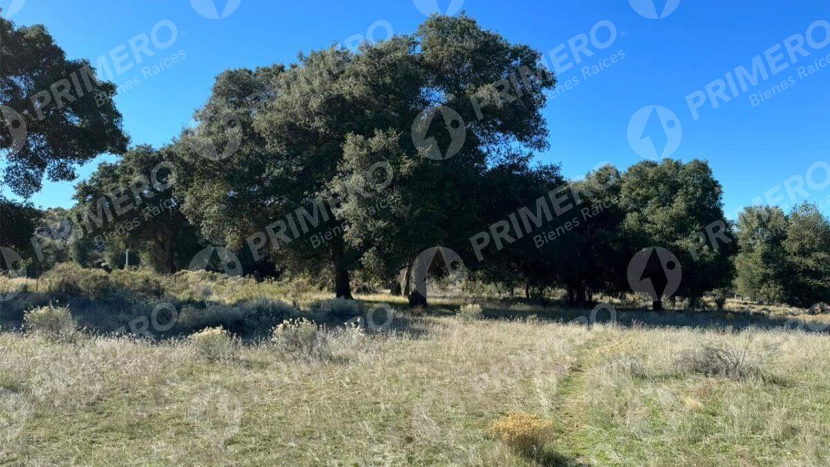 Terreno en Venta en Tecate PMR-2524