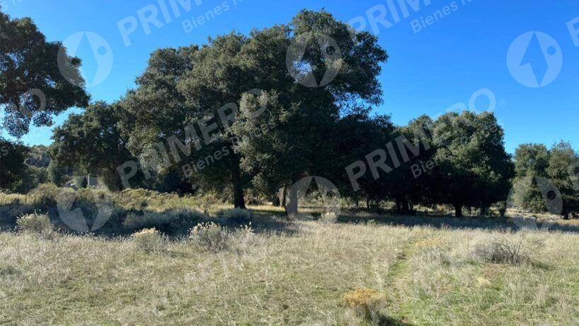 Terreno en Venta en Tecate PMR-2524