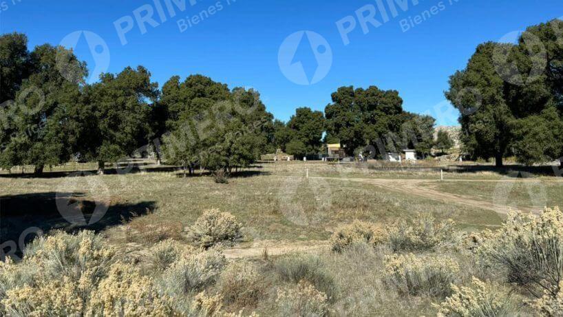 Terreno en Venta en Tecate PMR-2524