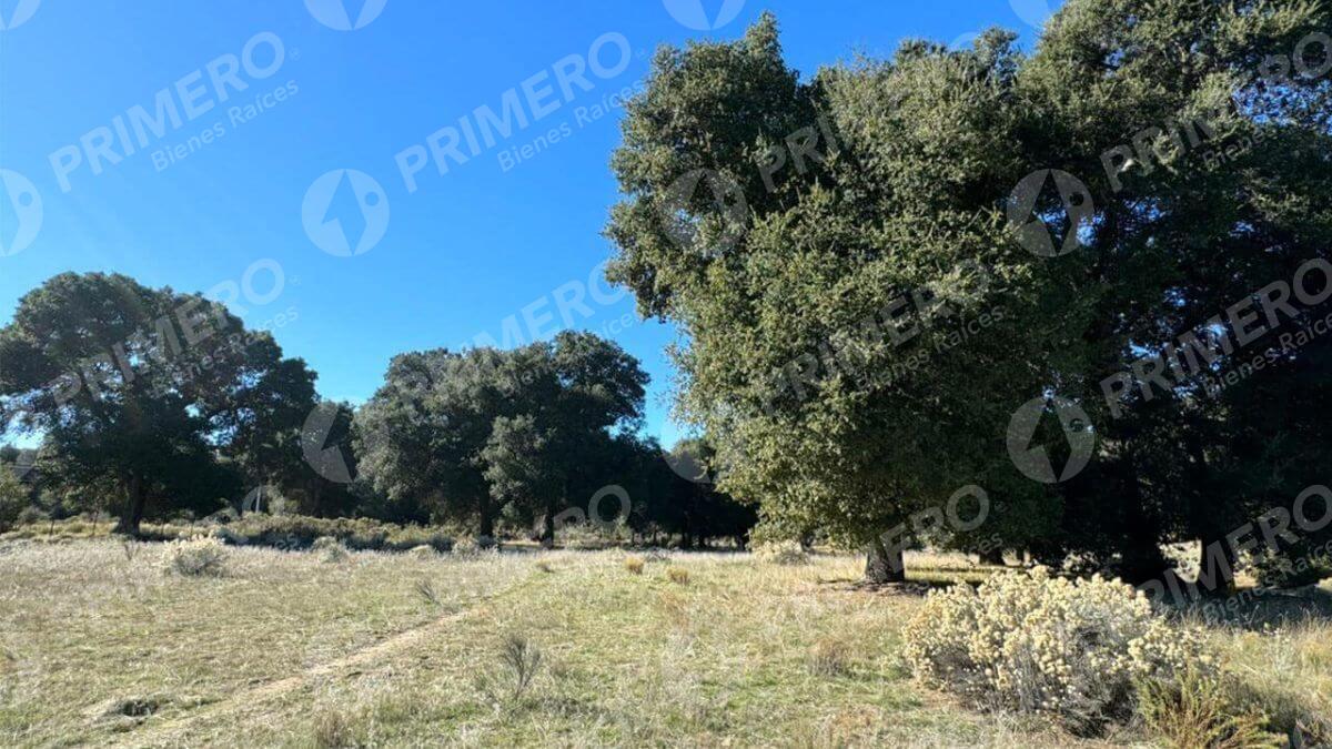 Terreno en Venta en Tecate PMR-2524