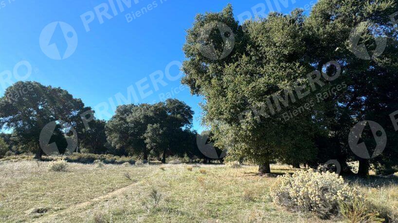 Terreno en Venta en Tecate PMR-2524