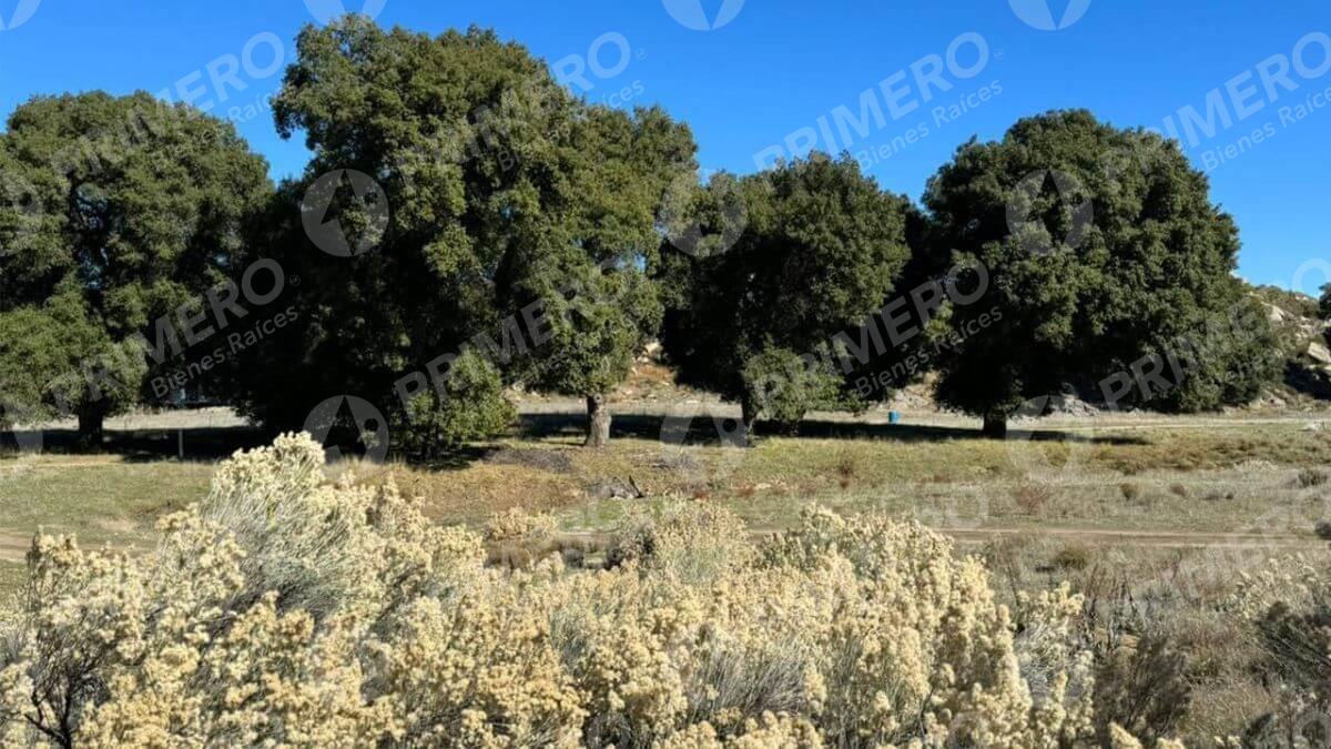 Terreno en Venta en Tecate PMR-2524