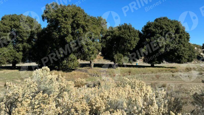 Terreno en Venta en Tecate PMR-2524