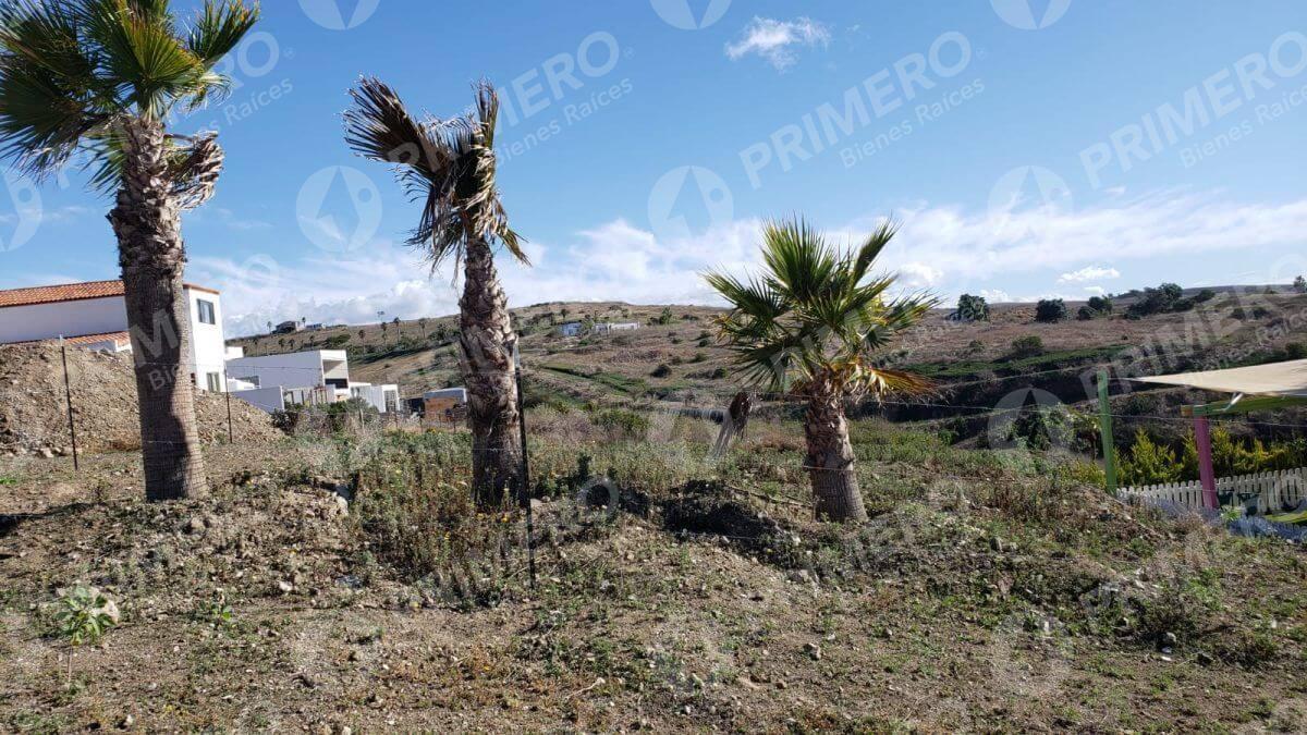 Terreno en Venta en Real del Mar PMR-2554