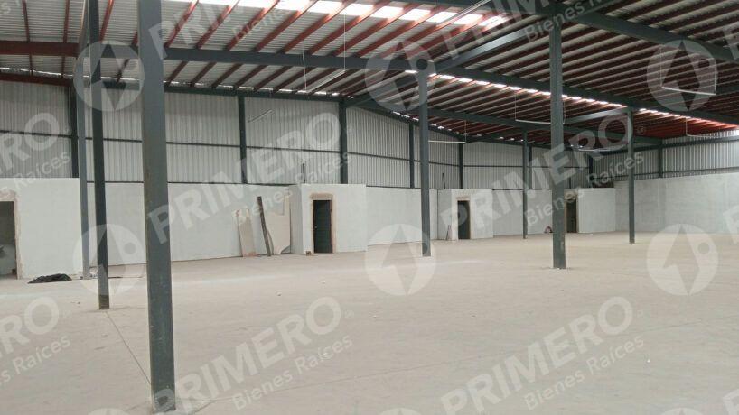 Bodegas en Renta en El Realito PMR-2582