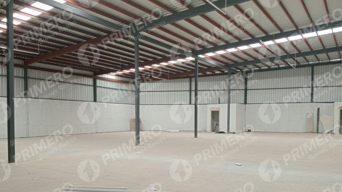 Bodegas en Renta en El Realito PMR-2582