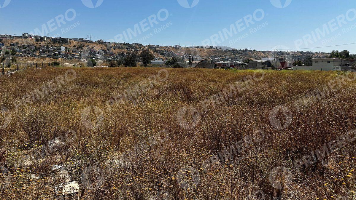 Terreno en Renta en Otay PMR-2736
