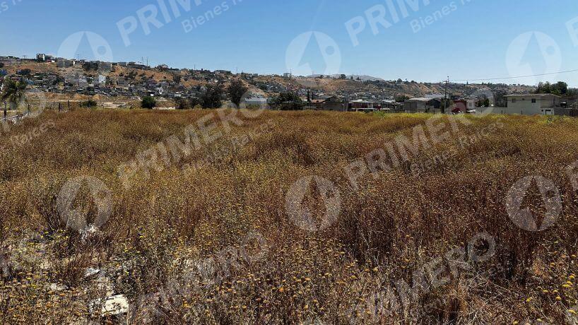 Terreno en Renta en Otay PMR-2736