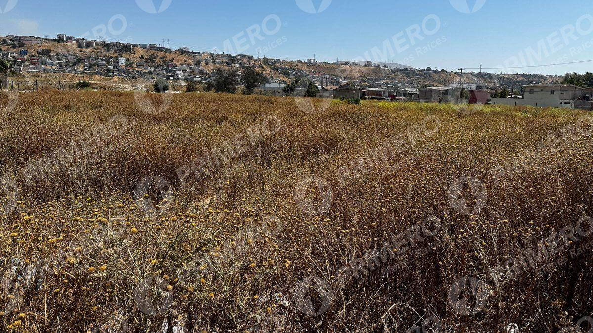 Terreno en Renta en Otay PMR-2736