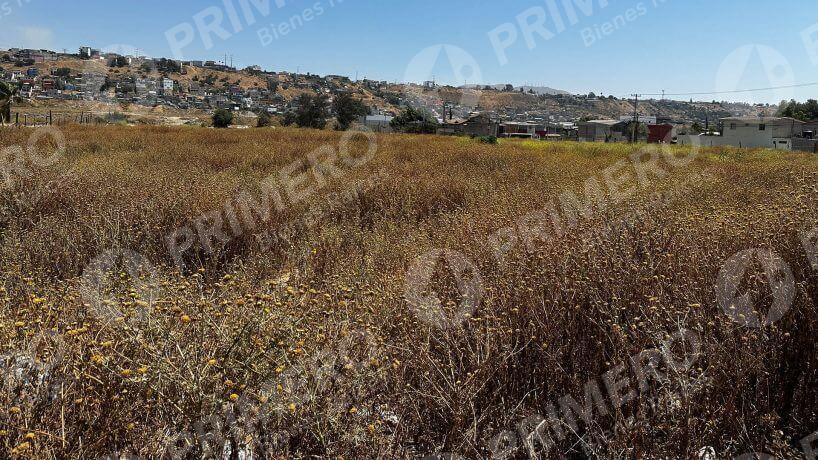 Terreno en Renta en Otay PMR-2736