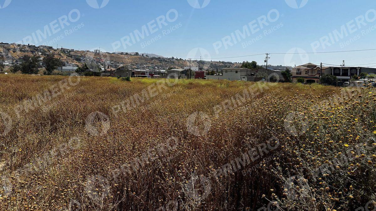 Terreno en Renta en Otay PMR-2736
