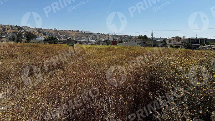 Terreno en Renta en Otay PMR-2736