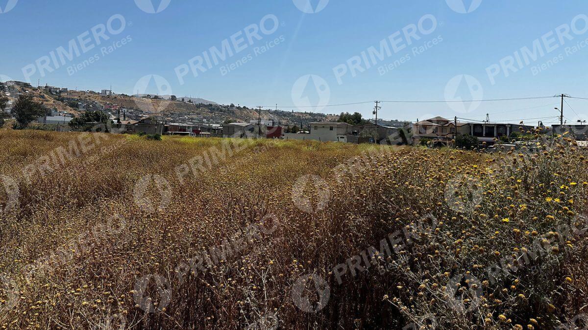 Terreno en Renta en Otay PMR-2736