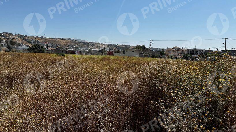 Terreno en Renta en Otay PMR-2736