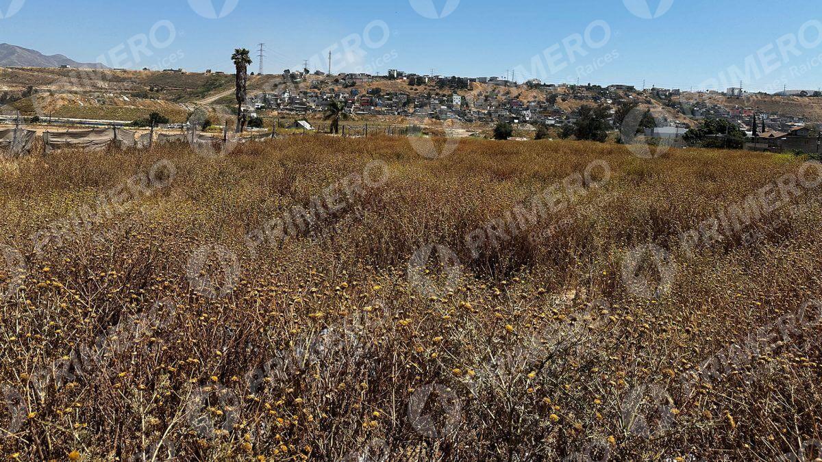 Terreno en Renta en Otay PMR-2736