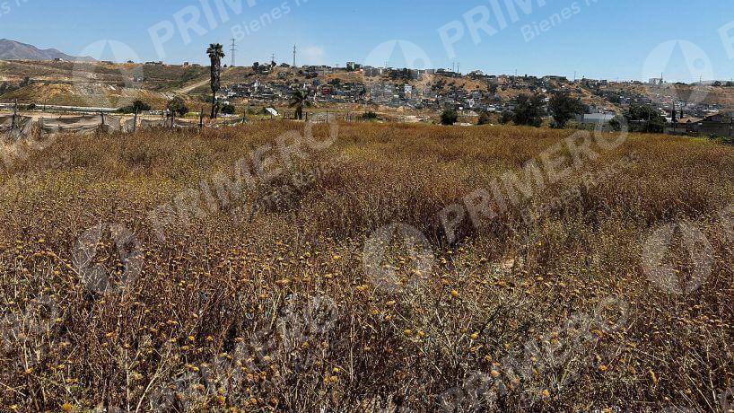 Terreno en Renta en Otay PMR-2736