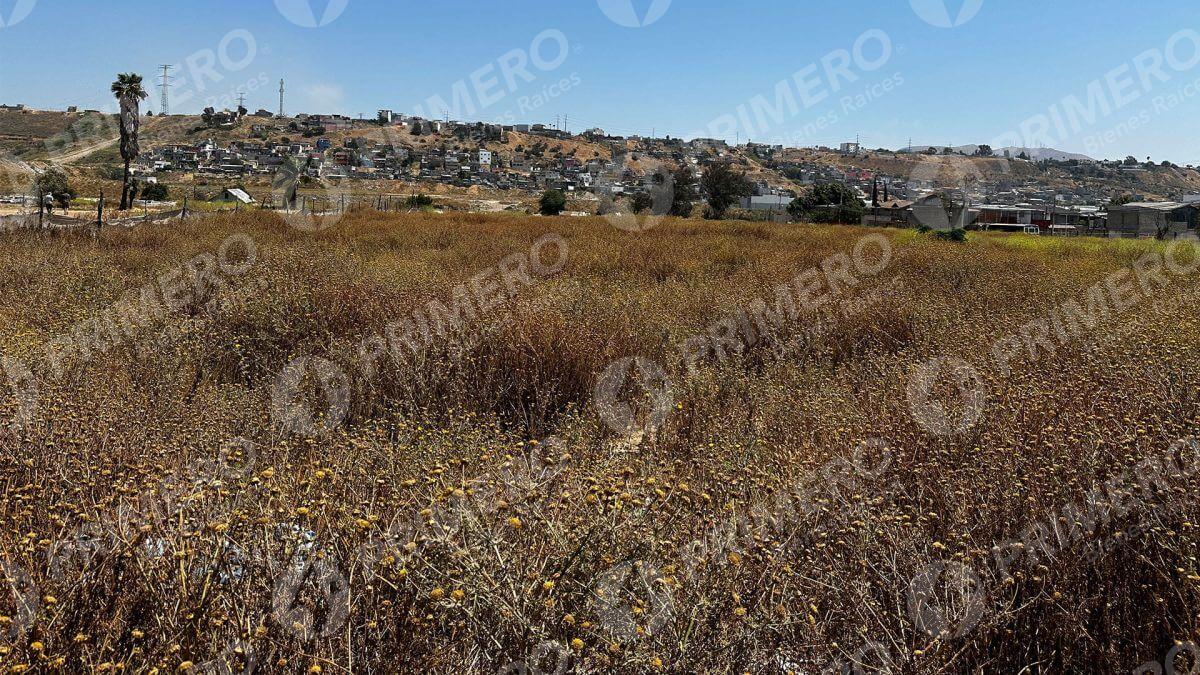 Terreno en Renta en Otay PMR-2736