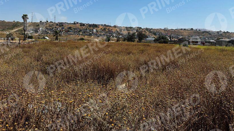 Terreno en Renta en Otay PMR-2736
