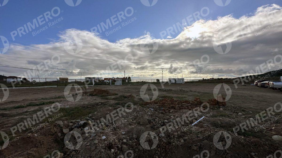 Terreno en Venta en Oak Point View PMR-2755