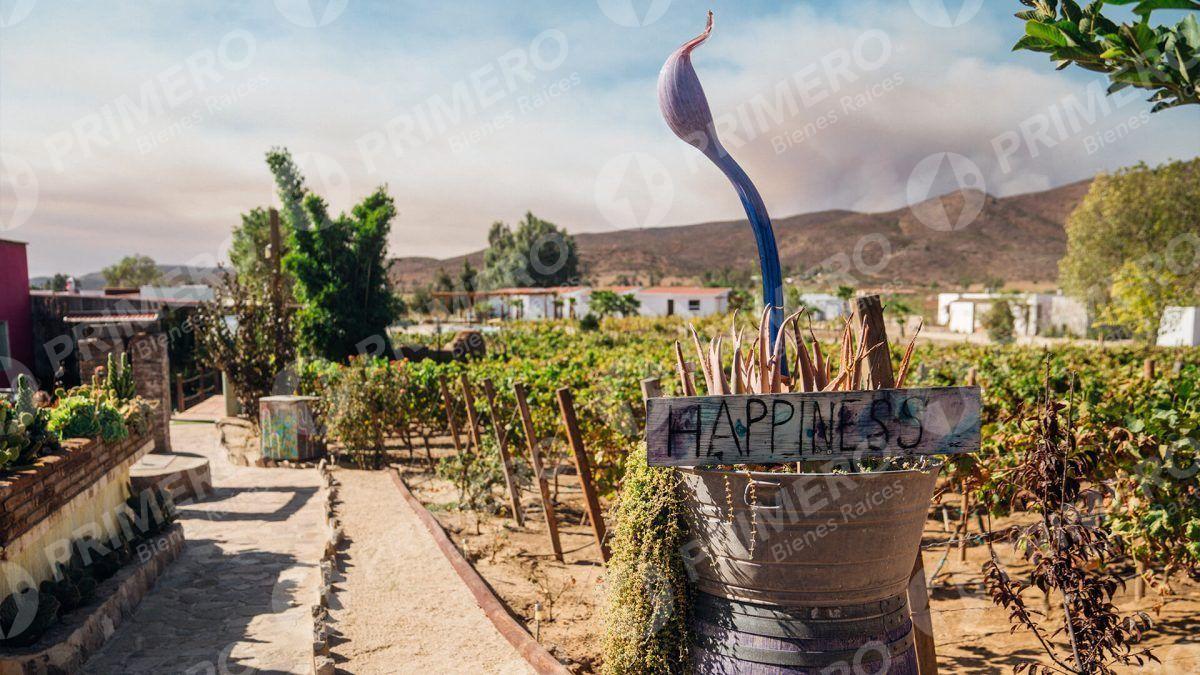 Terreno en Venta en Valle de Guadalupe PMR-2781