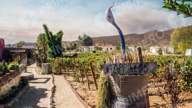 Terreno en Venta en Valle de Guadalupe PMR-2781