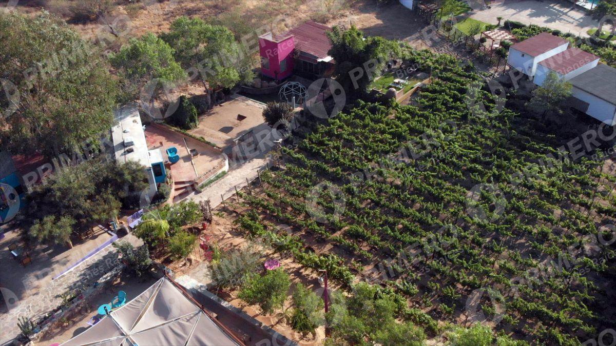 Terreno en Venta en Valle de Guadalupe PMR-2781