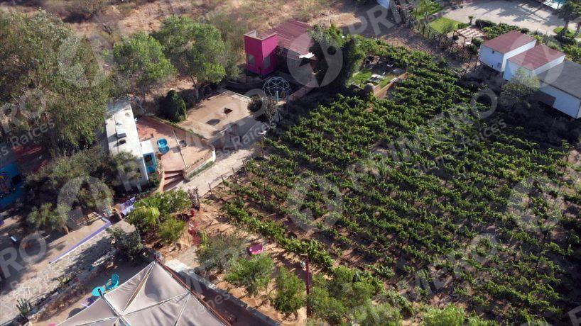 Terreno en Venta en Valle de Guadalupe PMR-2781