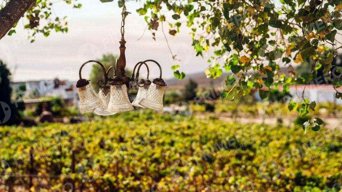 Terreno en Venta en Valle de Guadalupe PMR-2781