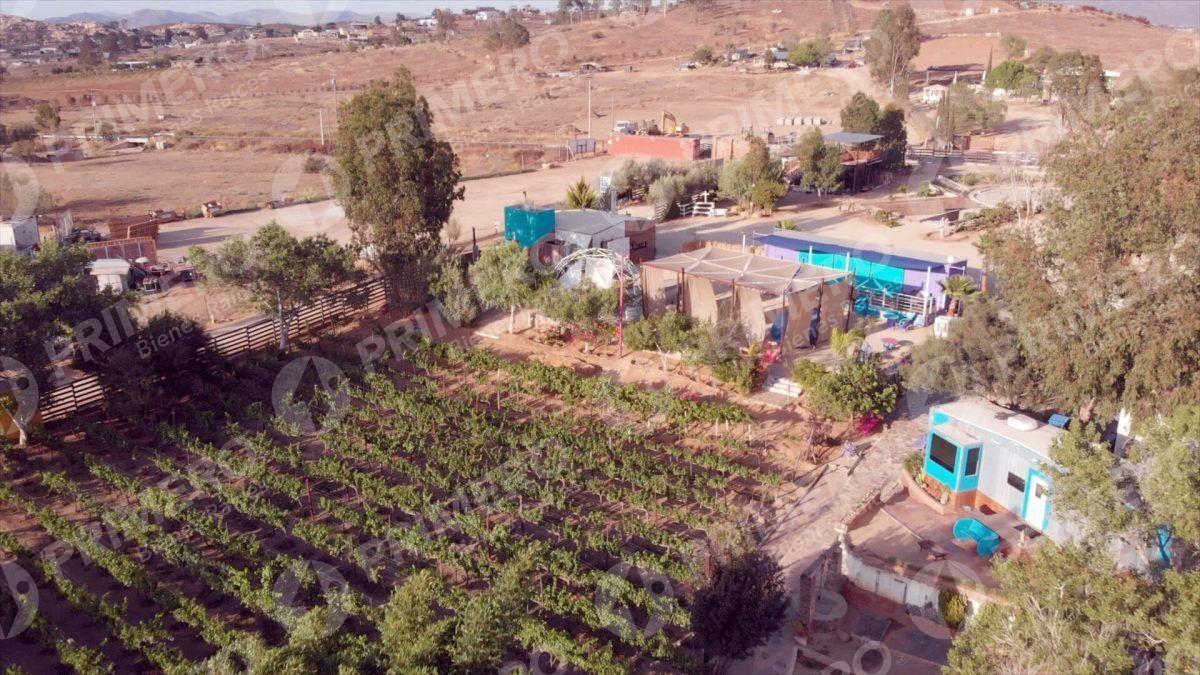 Terreno en Venta en Valle de Guadalupe PMR-2781