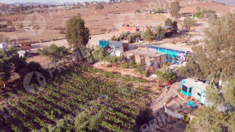 Terreno en Venta en Valle de Guadalupe PMR-2781