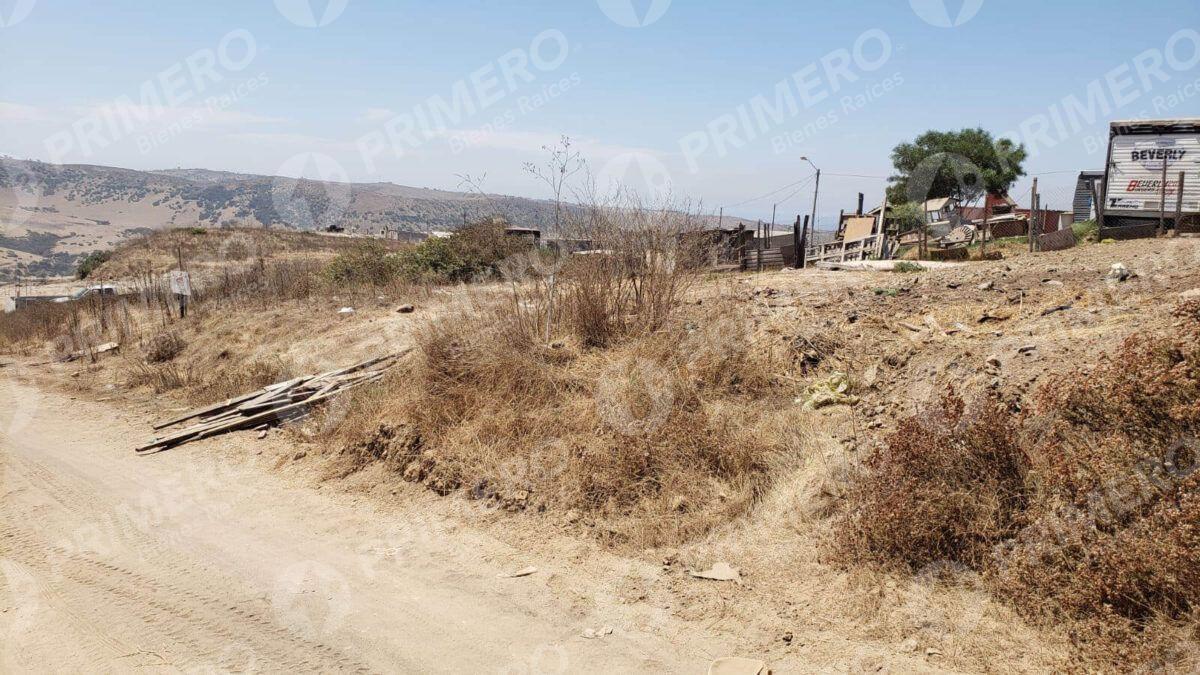 Terreno en Venta en Lomas Altas PMR-2813