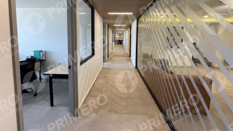 Oficinas en Renta en Zona Río PMR-2822