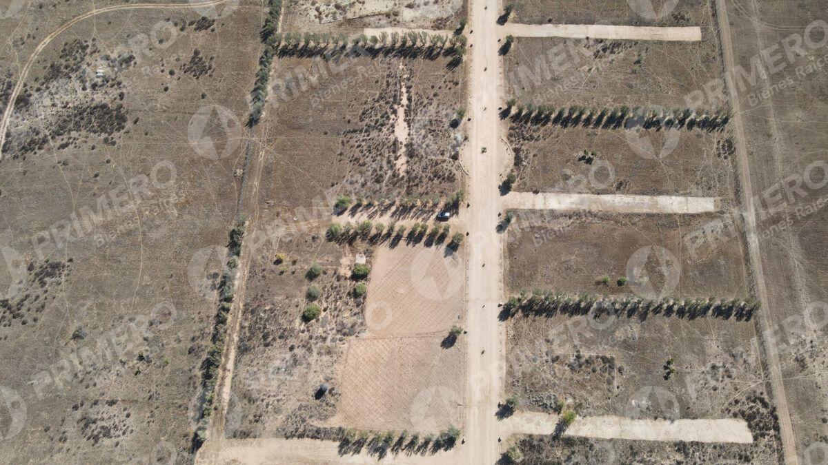 Terreno en Venta en Valle de Guadalupe PMR-2926
