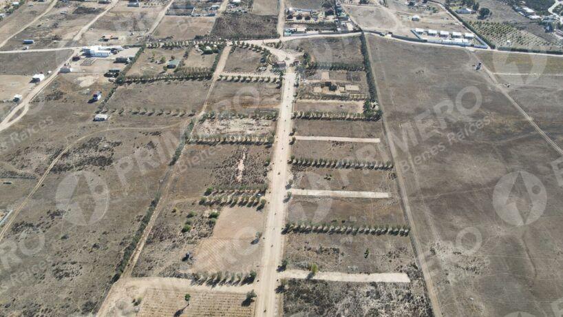 Terreno en Venta en Valle de Guadalupe PMR-2926