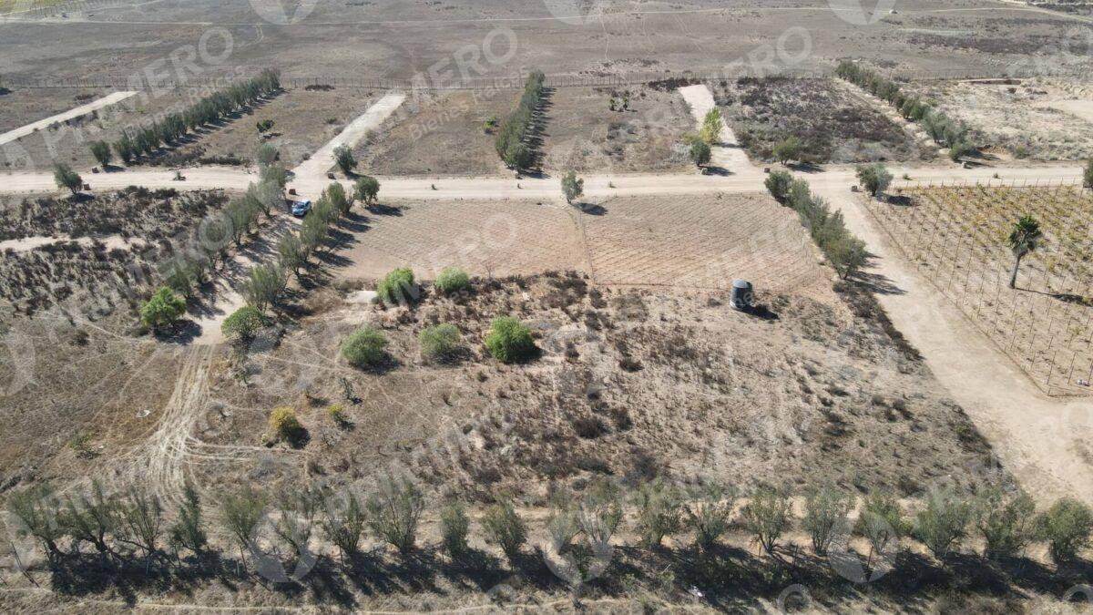 Terreno en Venta en Valle de Guadalupe PMR-2926