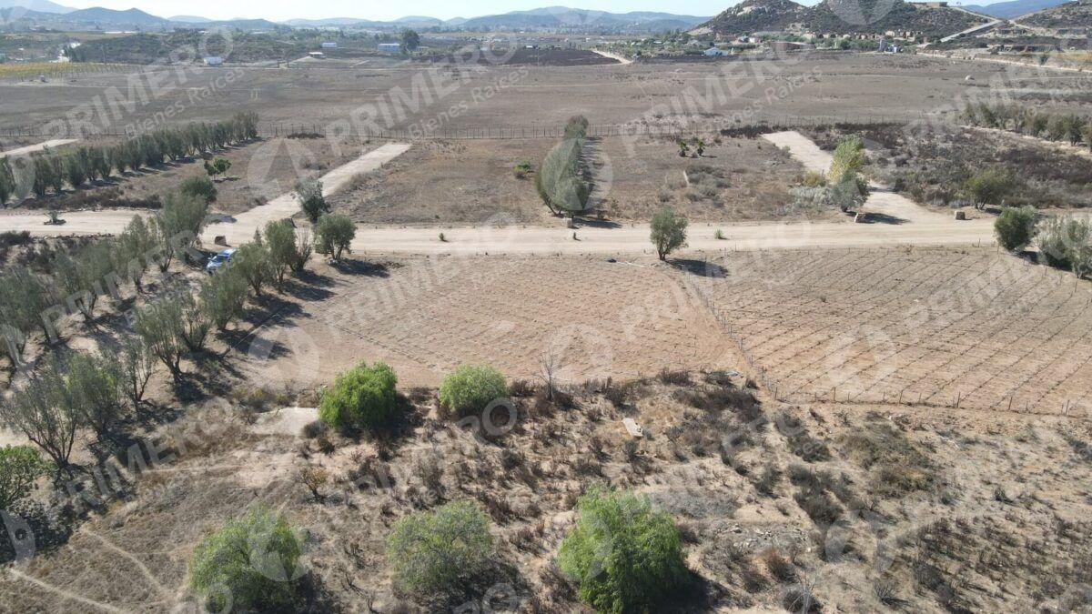Terreno en Venta en Valle de Guadalupe PMR-2926