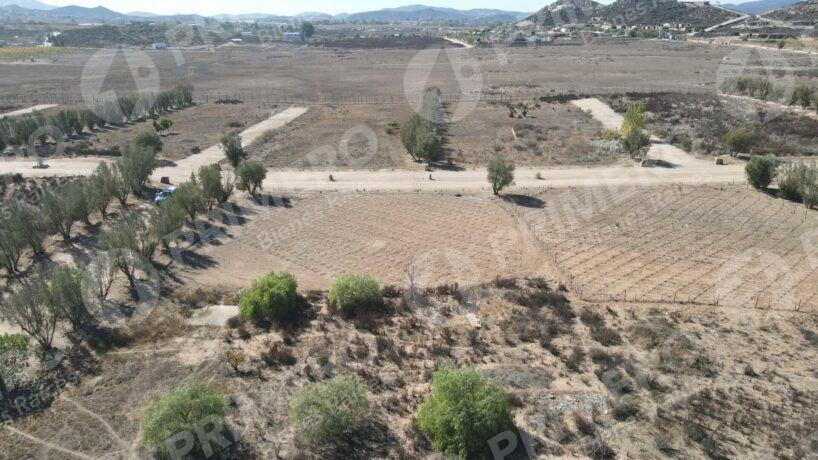Terreno en Venta en Valle de Guadalupe PMR-2926