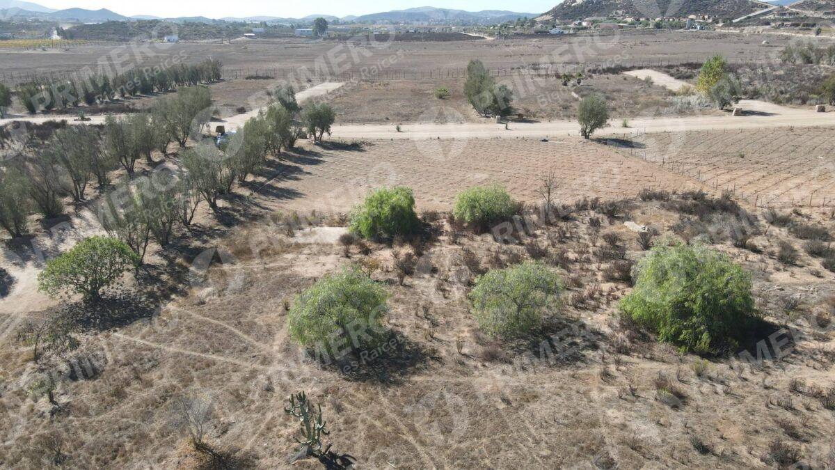 Terreno en Venta en Valle de Guadalupe PMR-2926