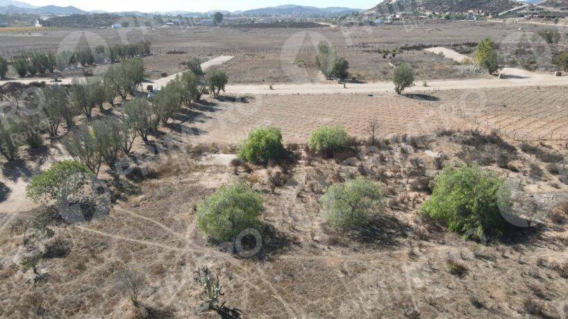 Terreno en Venta en Valle de Guadalupe PMR-2926