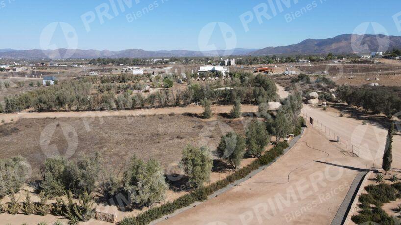 Terreno en Venta en Valle de Guadalupe PMR-2926