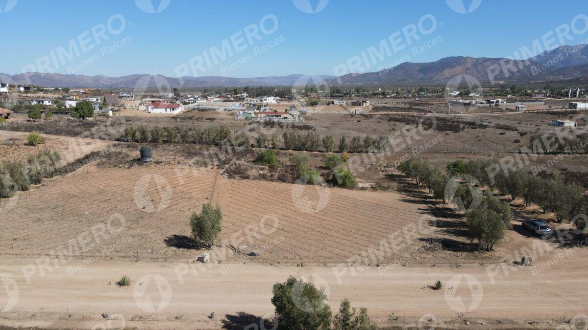 Terreno en Venta en Valle de Guadalupe PMR-2926