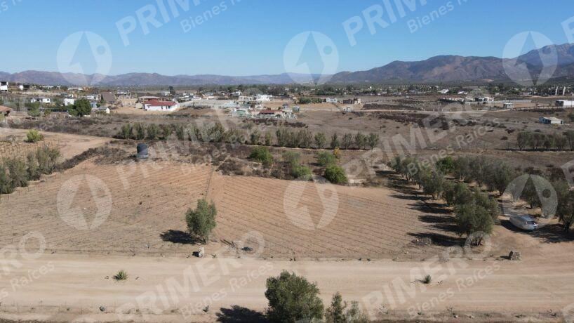 Terreno en Venta en Valle de Guadalupe PMR-2926