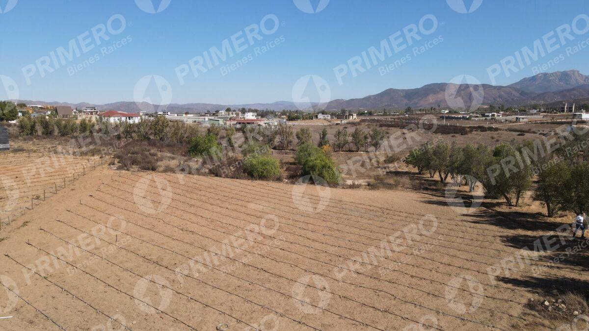 Terreno en Venta en Valle de Guadalupe PMR-2926