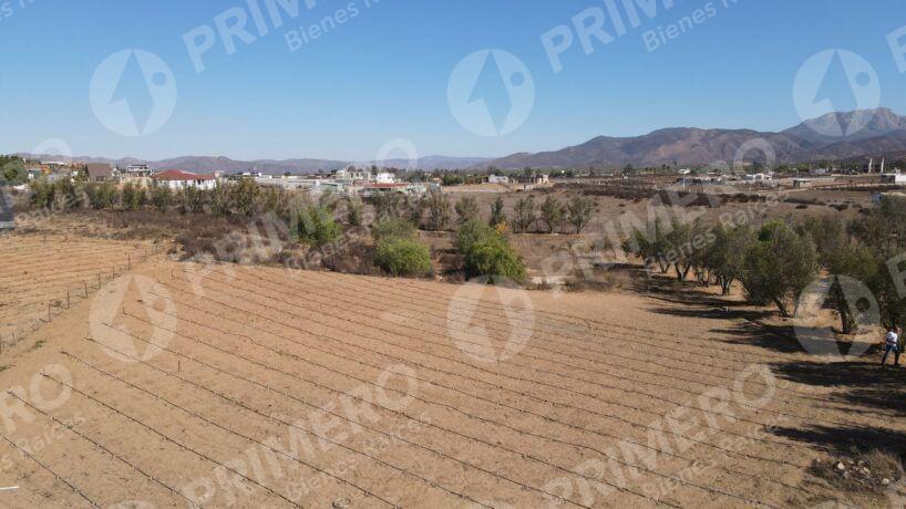 Terreno en Venta en Valle de Guadalupe PMR-2926