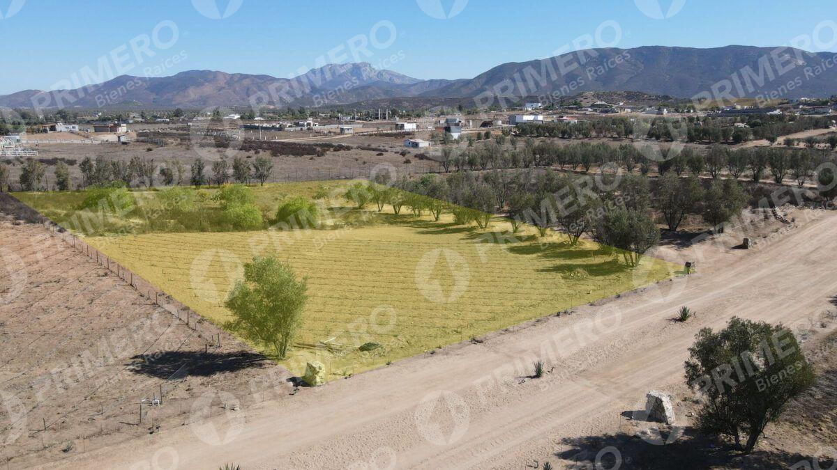 Terreno en Venta en Valle de Guadalupe PMR-2926