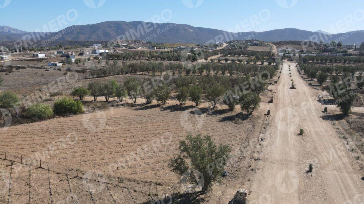 Terreno en Venta en Valle de Guadalupe PMR-2926